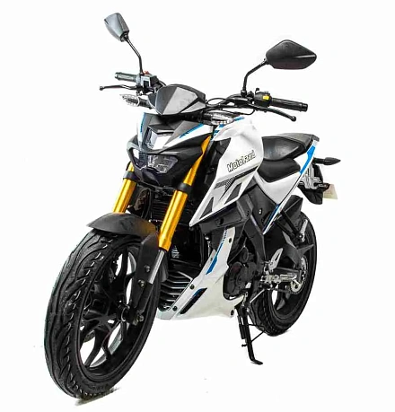 Мотоцикл Motoland MT 250 (172FMM-5/PR250)