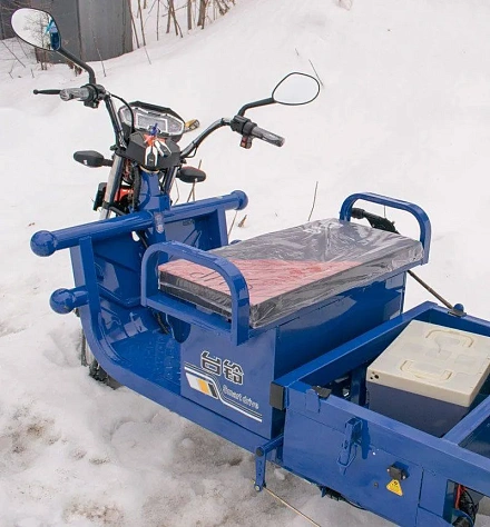 Электротрицикл TaiLG TL800