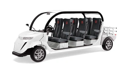 Гольфкар Elecar 5E-TIGARBO 6G