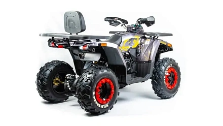 Квадроцикл Motoland 200 WILD TRACK X (баланс. вал)
