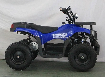 Электроквадроцикл Green Camel Гоби K24 (36V 800W R6 Цепь)