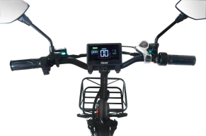 Электровелосипед Minako F10 Lite
