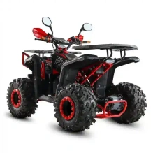 Электроквадроцикл WHITE SIBERIA SNEG 3000 F