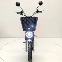 Электровелосипед Green Camel Транк Монстр (R16FAT 500W 60V20Ah) гидравлика