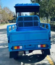Электротрицикл грузовой Green Camel Тендер 2 (1000W 30км/ч) крыша, понижающая