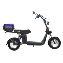 Электроскутер Skyboard BR30-2WD (Ural)