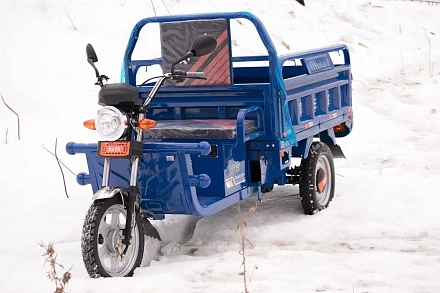 Электротрицикл TaiLG TL800