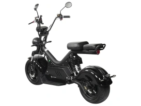 Электроскутер SKYBOARD CITYCOCO BR50-3000 PRO