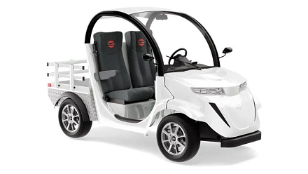 Гольфкар Elecar 5E-TIGARBO 2G