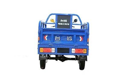 Электротрицикл TaiLG TL1000