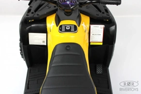 Детский электроквадроцикл Rivertoys T001TT 4WD