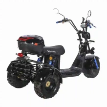 Электроскутер SKYBOARD CITYCOCO TRIKE BR40-3000 PRO FAST OFF-ROAD
