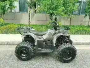 Квадроцикл MOTAX Grizlik T 200 LUX