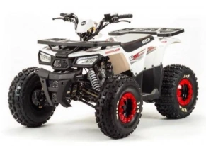 Квадроцикл Motoland 125 WILD (2020 г.)