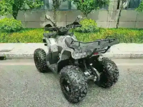 Квадроцикл MOTAX Grizlik T 200 LUX