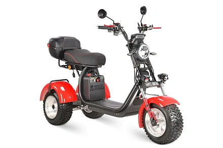 Электротрицикл WHITE SIBERIA Ikra 5000W