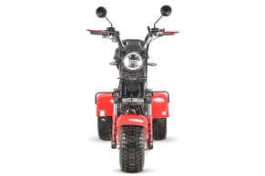 Электротрицикл WHITE SIBERIA Ikra 5000W