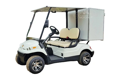 ГОЛЬФКАР КОНКОРДИЯ ГК2 ФУРГОН