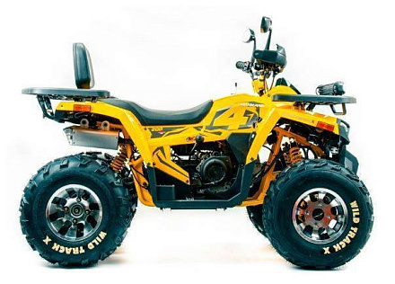 Квадроцикл Motoland 200 WILD TRACK X PRO (баланс. вал)