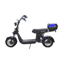 Электроскутер Skyboard BR30-2WD (Ural)