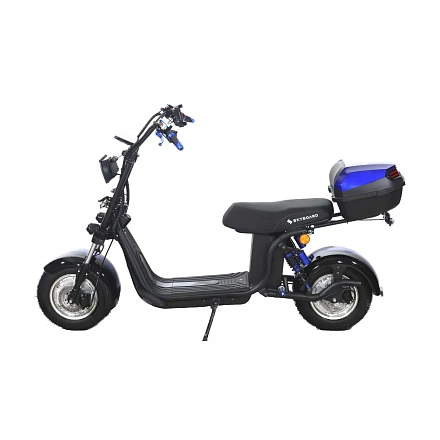 Электроскутер Skyboard BR30-2WD (Ural)