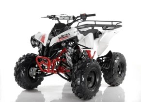 Квадроцикл MOTAX ATV Raptor LUX 125 сс