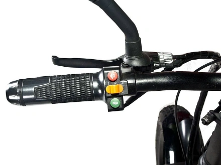 Электровелосипед Jetson F20 BIZON (48V12Ah)