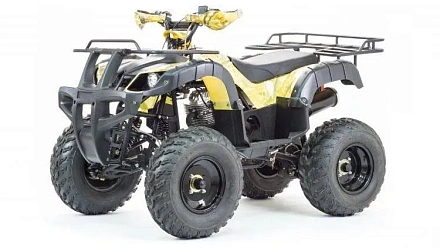 Квадроцикл Motoland 250 ADVENTURE