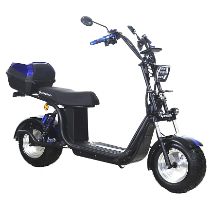 Электроскутер Skyboard BR30-2WD (Ural)