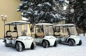 ГОЛЬФКАР КОНКОРДИЯ URBIS 4+2