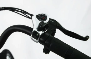 Электровелосипед Elbike Galant Big Vip 13