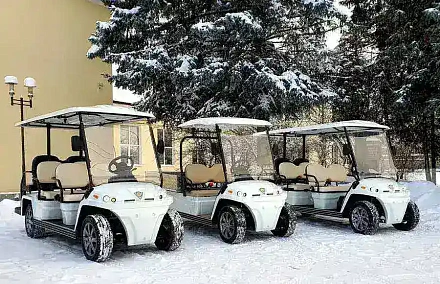 ГОЛЬФКАР КОНКОРДИЯ URBIS 4+2