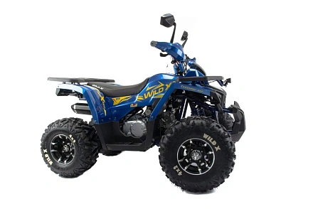 Квадроцикл Motoland (п) 125 WILD X PRO А