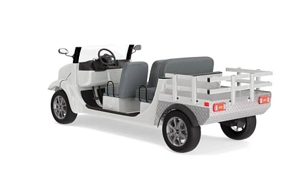 Гольфкар Elecar 5E-TIGARBO 4 Cabrio