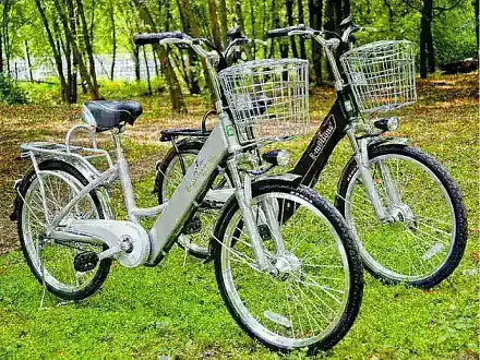 Электровелосипед E-motions Dacha (Дача) 350w Li-ion