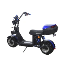 Электроскутер Skyboard BR30-2WD (Ural)