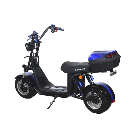 Электроскутер Skyboard BR30-2WD (Ural)