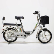 Электровелосипед Green Camel Транк-18-60 (R18 350W 60V) Алюм