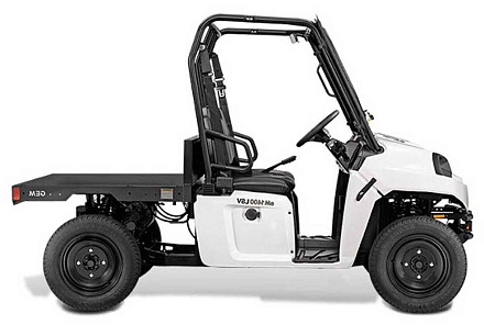 Электромобиль GEM eM 1400