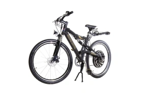 Электровелосипед E-motions Golden Motor 1000W