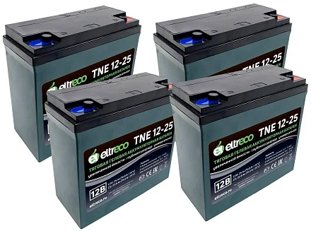Комплект тяговых аккумуляторов Eltreco TNE12-25 (48V21A/H C3)