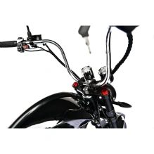 Электроскутер Skyboard CITYCOCO Chopper -4000 Harrow (Elbrus)