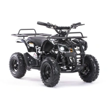 Электроквадроцикл MOTAX Mini Grizlik X-16 800W