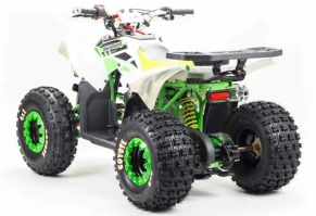Квадроцикл Motoland 125 COYOTE
