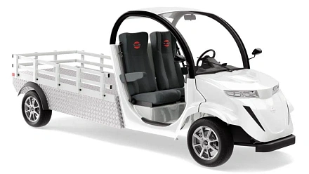 Электромобиль грузовой Elecargo 5E-TIGARBO B1