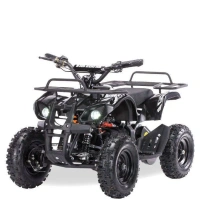 Электроквадроцикл MOTAX Mini Grizlik X-16 800W
