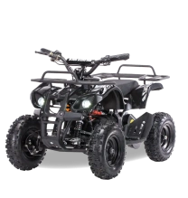 Электроквадроцикл MOTAX Mini Grizlik X-16 1000W