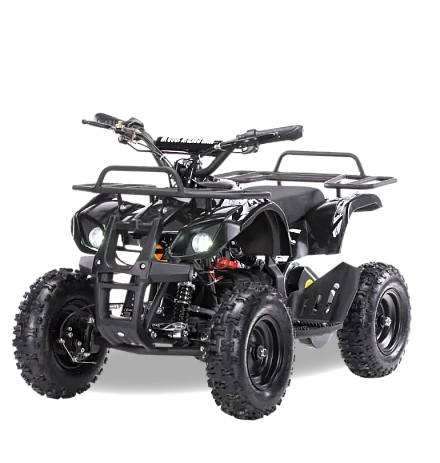 Электроквадроцикл MOTAX Mini Grizlik X-16 1000W New