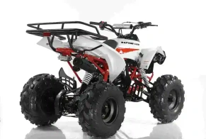 Квадроцикл MOTAX ATV Raptor LUX 125 сс