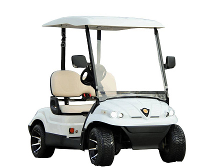 ГОЛЬФКАР КОНКОРДИЯ ГК2